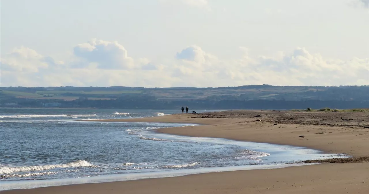 The 'magical' Scottish beach hidden in forest that dates back to the Stone Age