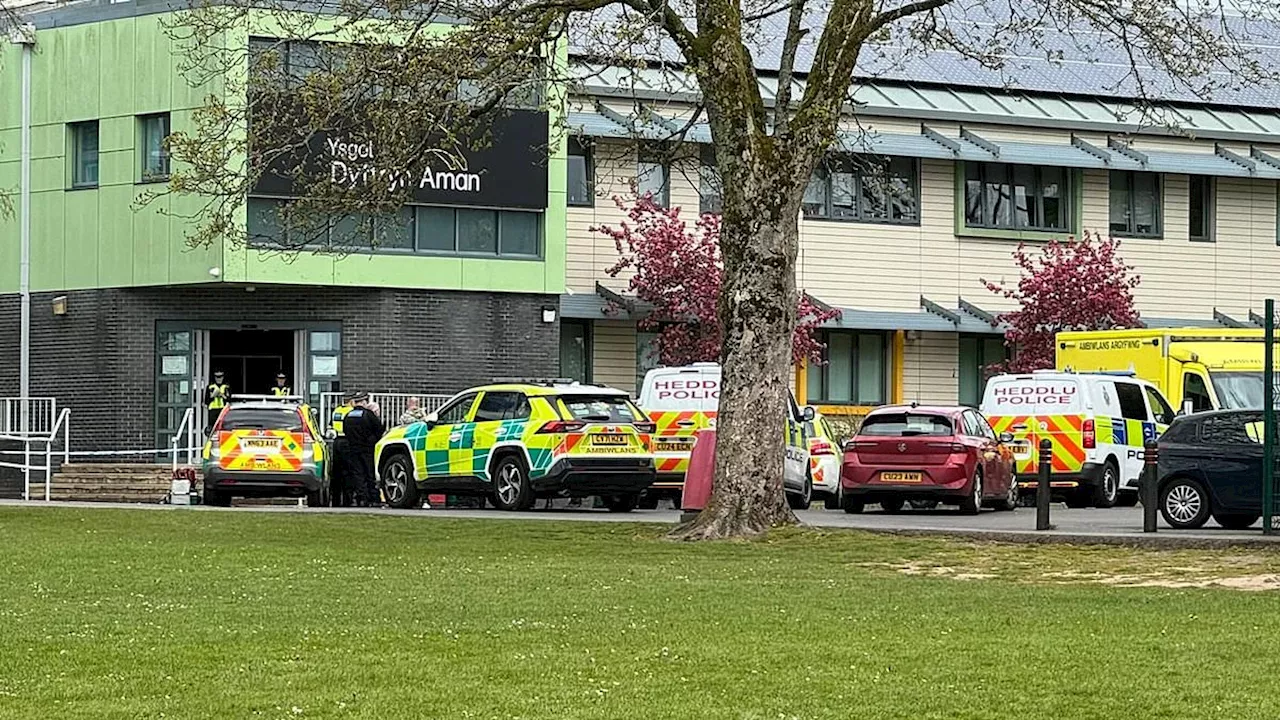 Ammanford school 'stabbing': Person is arrested and three people including 'teacher' injured after...