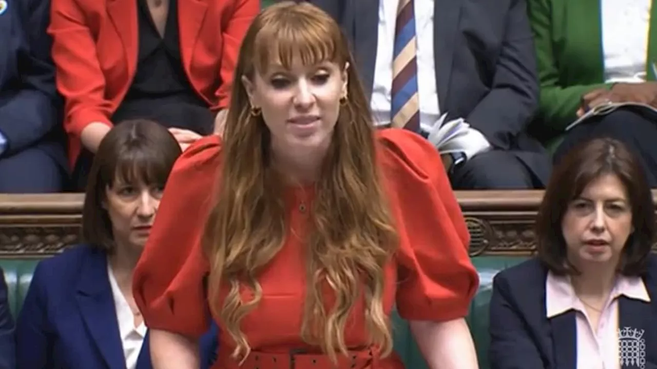 Angela Rayner brands Rishi Sunak 'a pint-sized loser' at PMQs