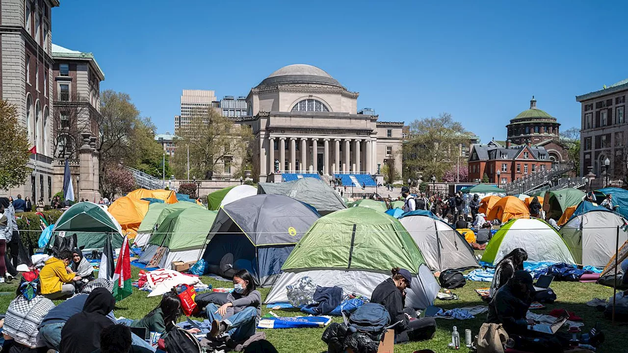 Don't negotiate with terrorists! MAUREEN CALLAHAN demands: Defund the Ivy League NOW... before this...