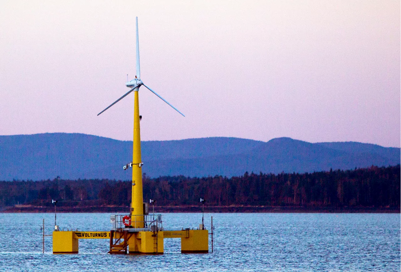 Interior plans 12 offshore wind auctions through 2028 in bid to boost fledgling industry