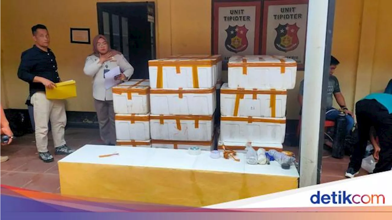 Polisi Gagalkan Penyelundupan 148.455 Benih Lobster ke Singapura