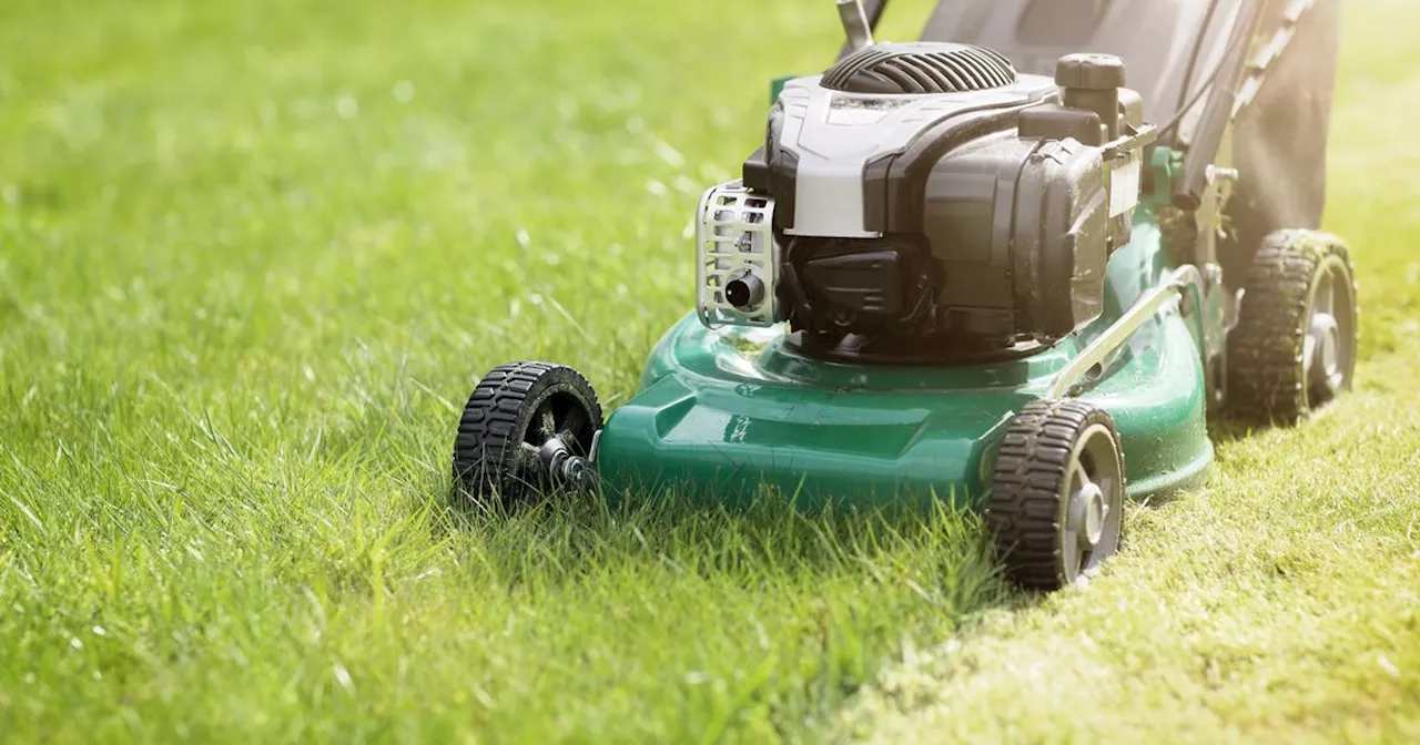 Expert has little-known lawn mower trick for 'thick' grass