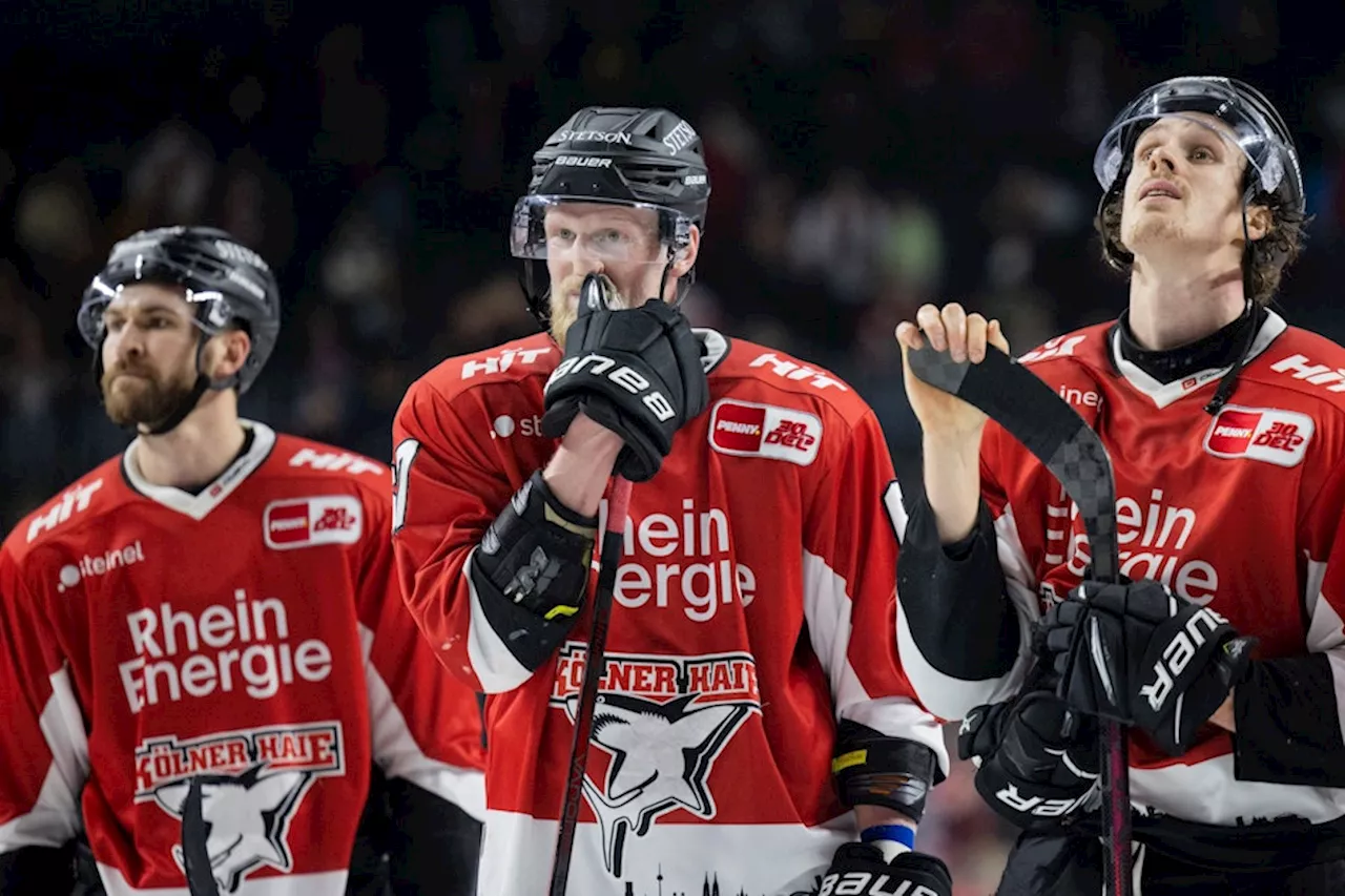 Kölner Haie finden neuen Sportdirektor in den eigenen Reihen