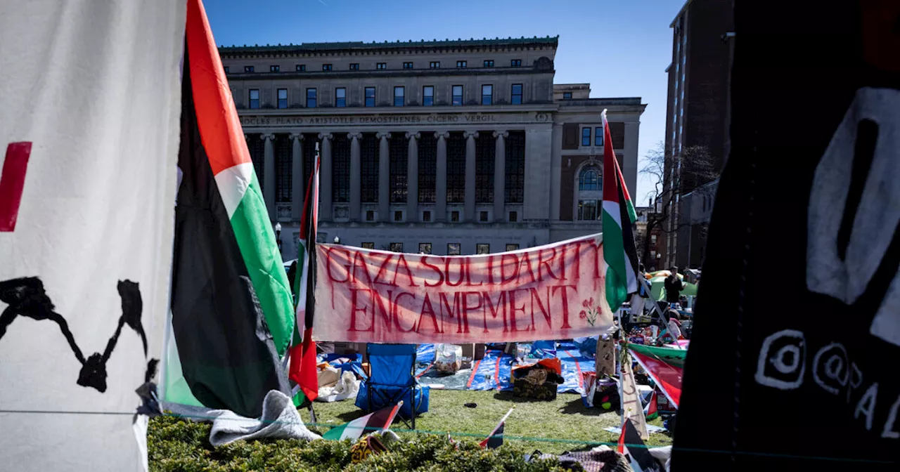 Movimenti Pro Palestina, resta calda la situazione nelle università Usa