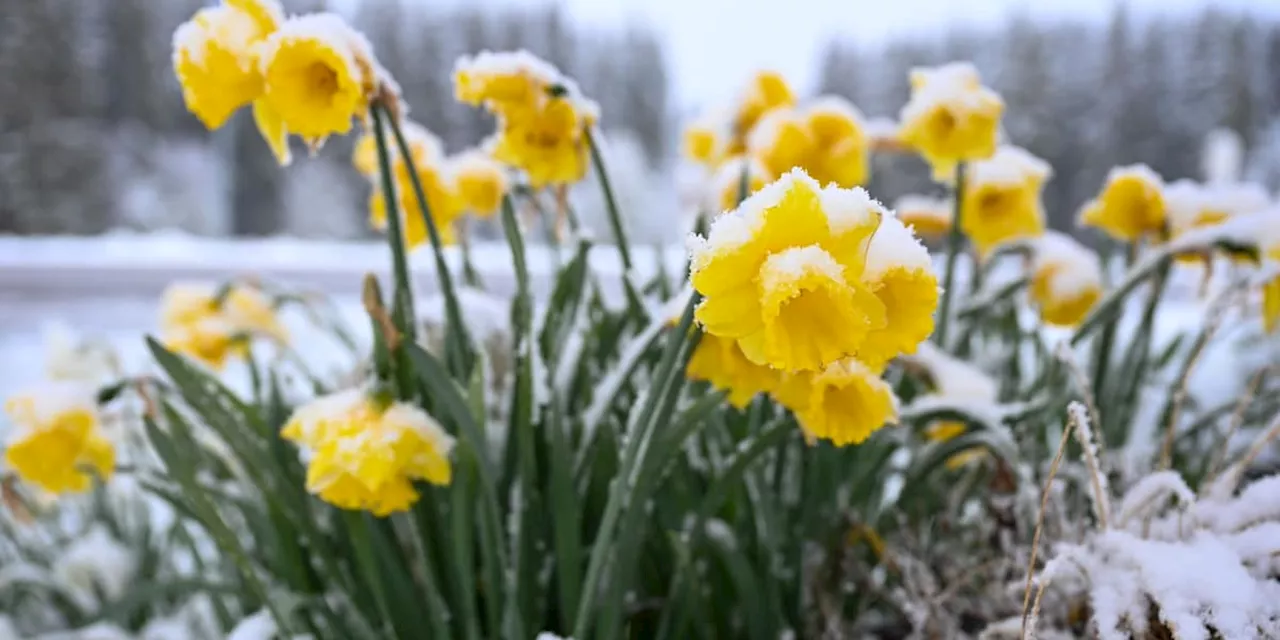 Wetter im Ticker: Wetterbesserung in Sicht - Temperaturen steigen