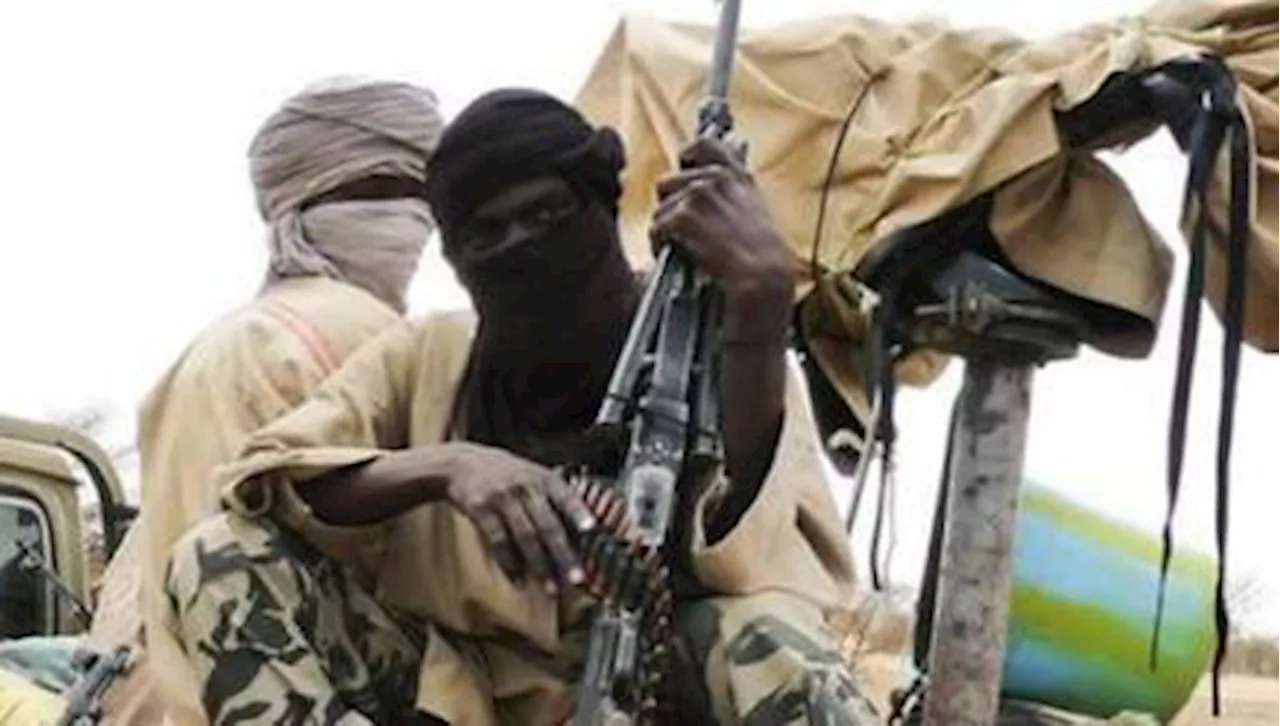 Boko Haram ambushes Niger soldiers guarding agricultural site