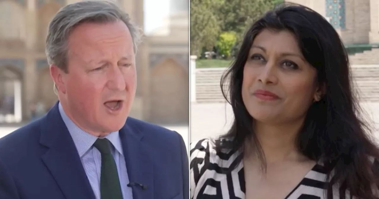 Journalist Asks David Cameron Outright If Rwanda Bill Is A Consequence Of Brexit