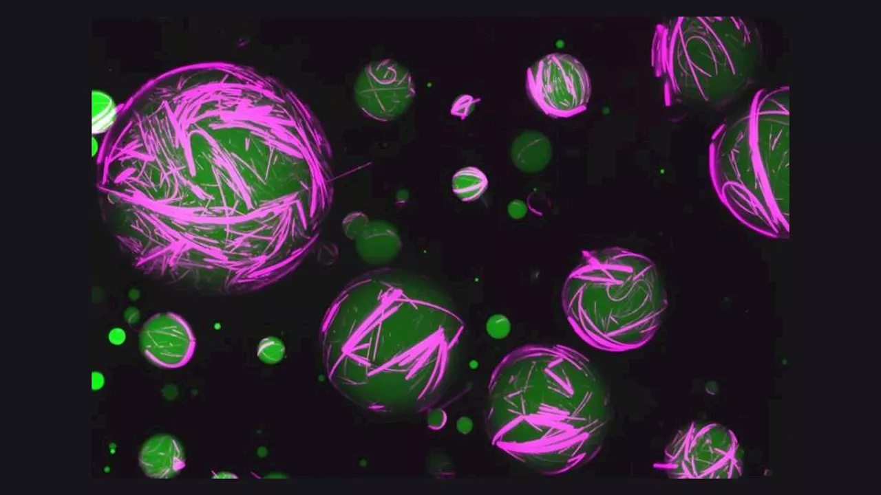 Researchers create first artificial, modifiable cells with programmable DNA