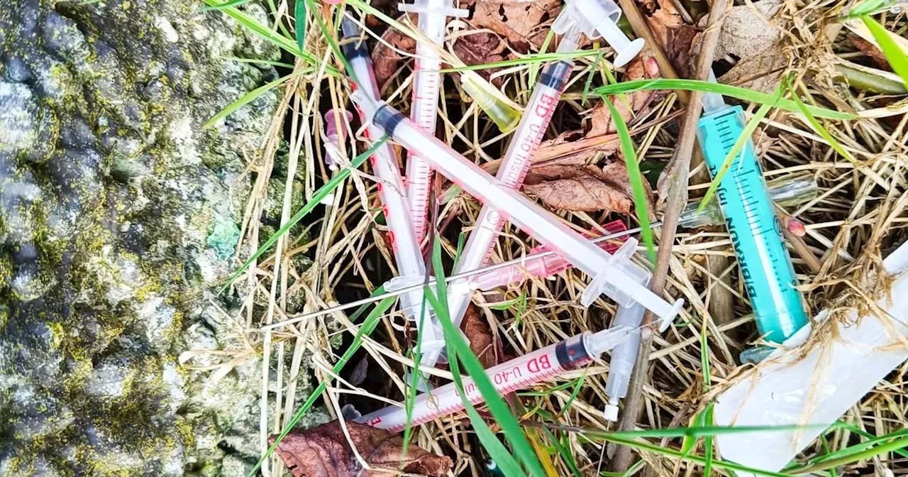 dad slams people who dumped 400 used syringes in public park