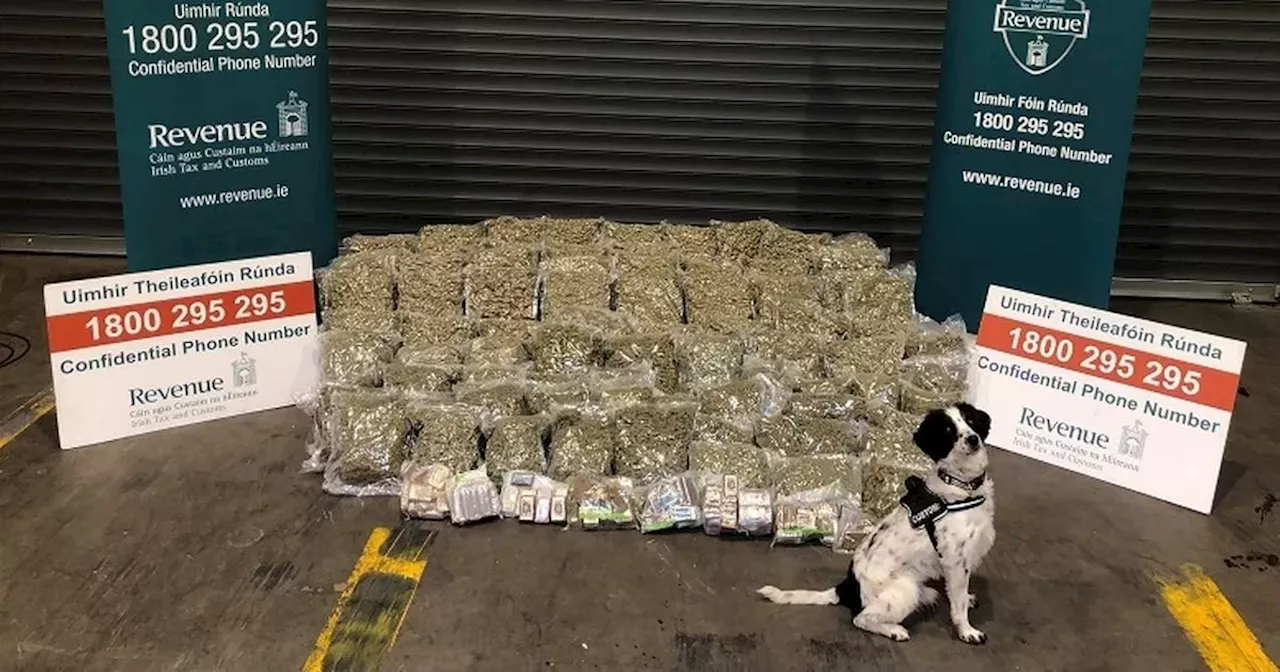 Revenue seizes almost €1.7m worth of cannabis over course of last week