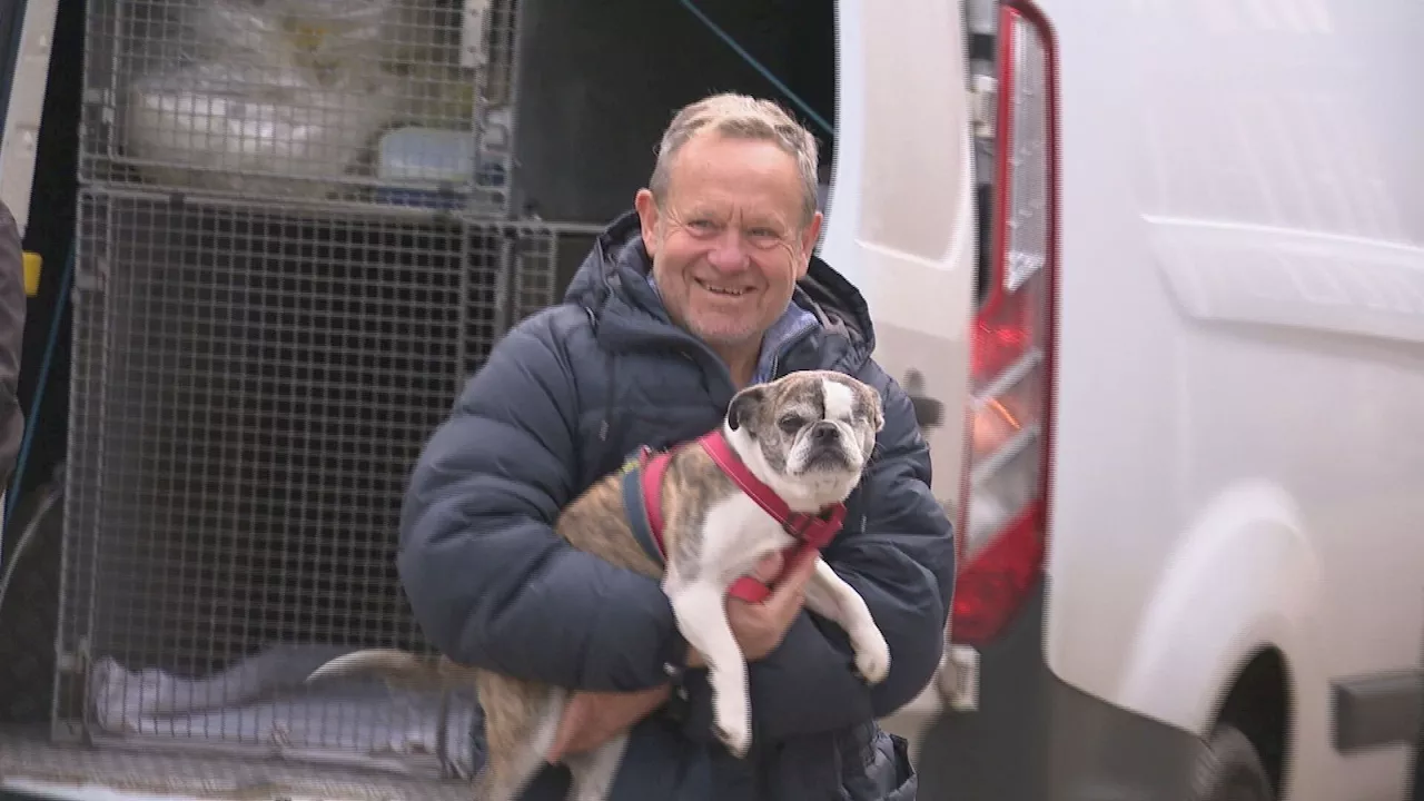 One-eyed dog reunited with owner after car stolen in Warwickshire with pet inside