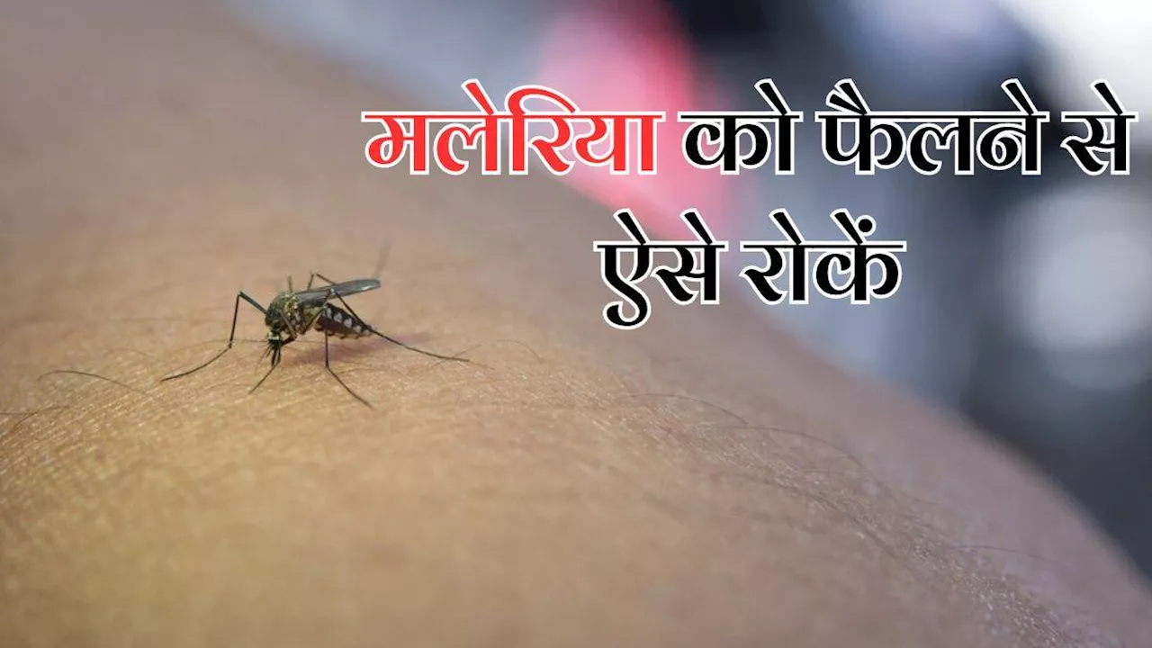 World Malaria Day 2024: जानलेवा क बन सकती है मलेरिया की बीमारी, इसे फैलने से रोकने के लिए अपनाएं ये तरीके