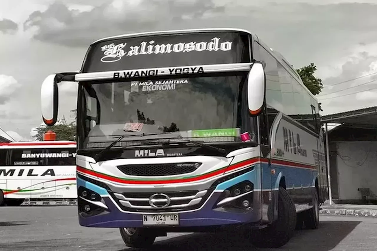 Bus Mila Ekonomi AC Rute Banyuwangi-Jogjakarta Sediakan Tujuh Kali Jadwal Keberangkatan, Tarif Terjangkau