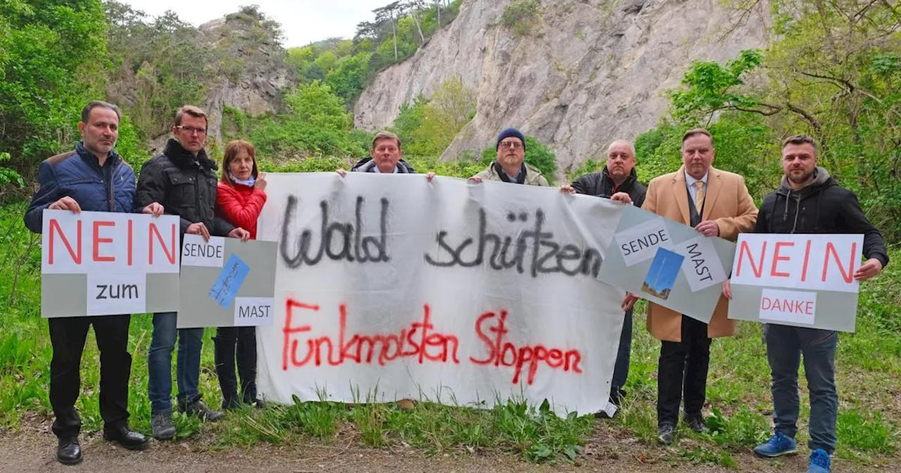 Mödling kämpft gegen neuen Handymasten im Stadtwald