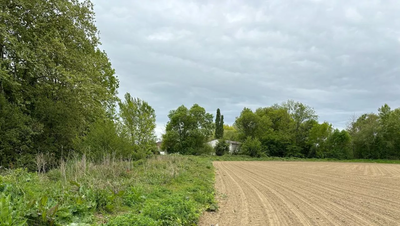 Merlon de protection réalisé sans autorisation : 'Je ne suis pas responsable des inondations de Gayan'