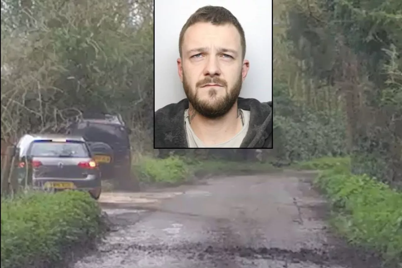 Disqualified driver jailed for dangerous driving after crashing his car with shredded tyre into hedge