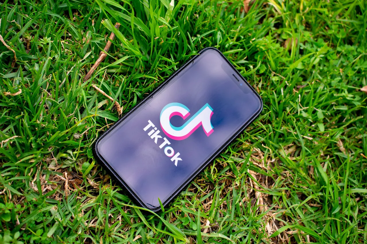 Researchers analyze health information on TikTok to identify trends