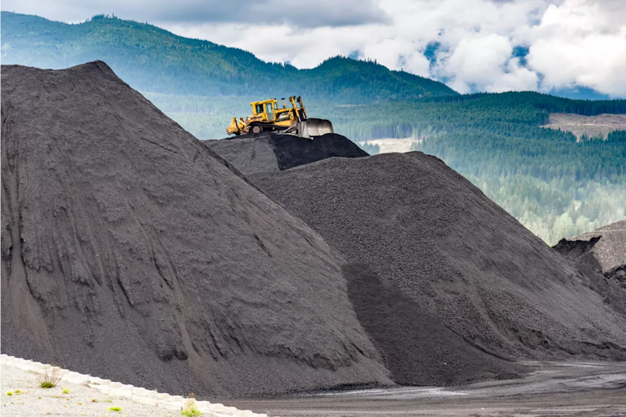 China coal prices have bottomed, will surpass 2023 highs, industry group says