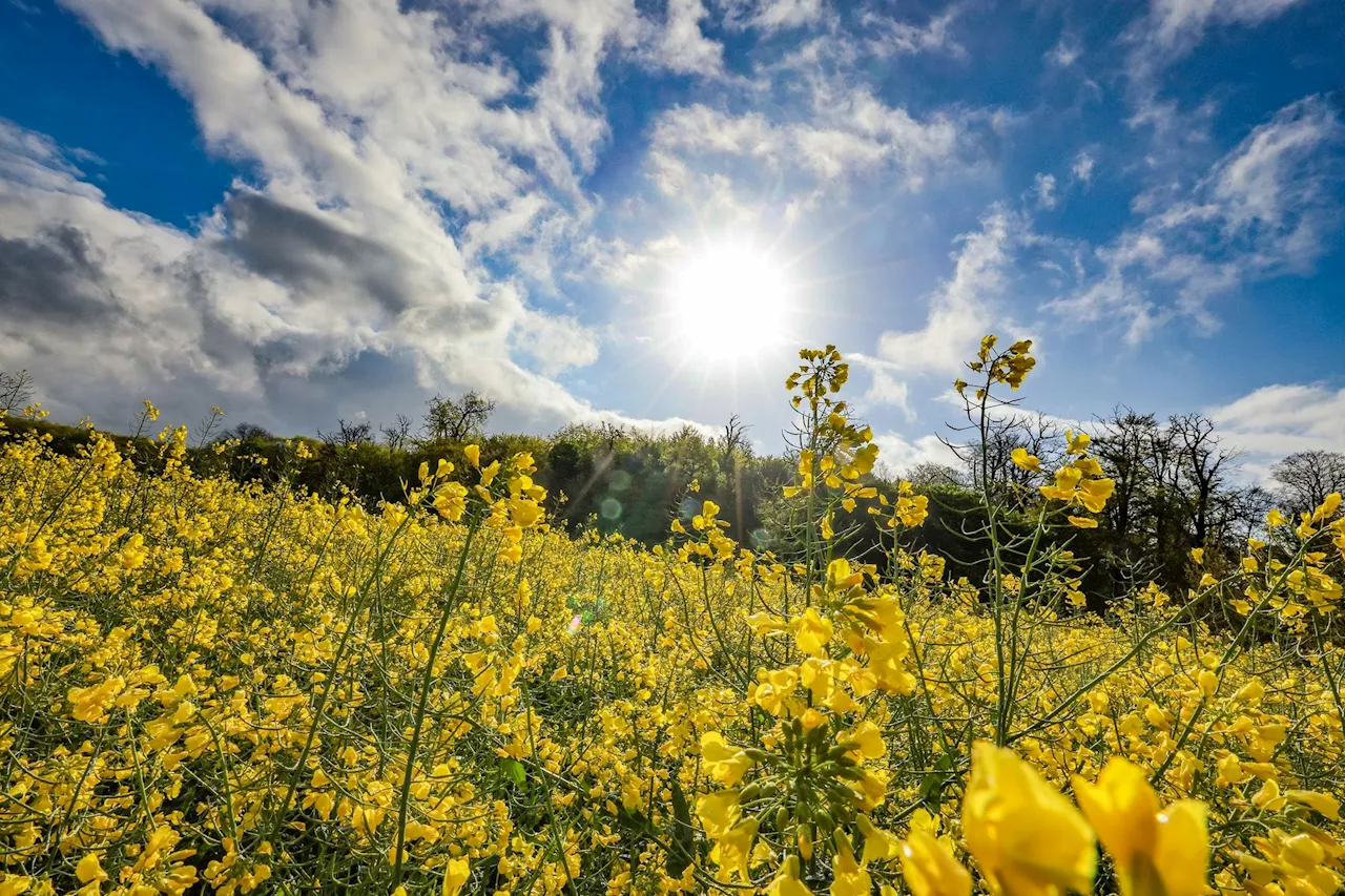 Wetterbesserung in Sicht - Temperaturen steigen