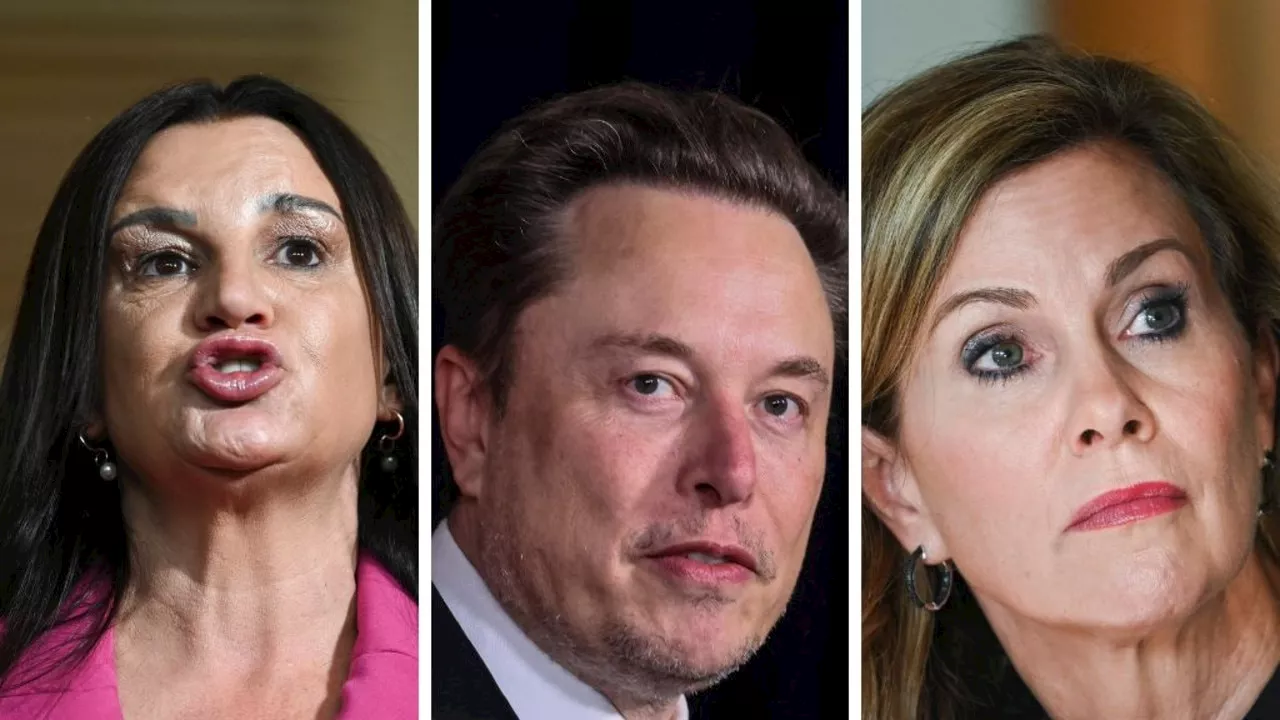 ‘Should be in jail’: Musk erupts at Aussie line
