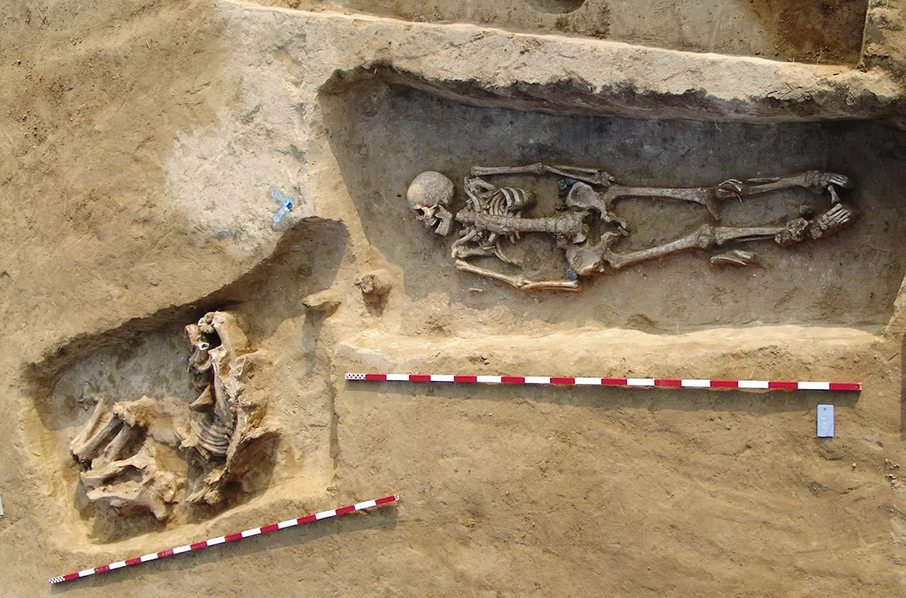 Massive DNA study reveals mating customs of mysterious medieval horse riders