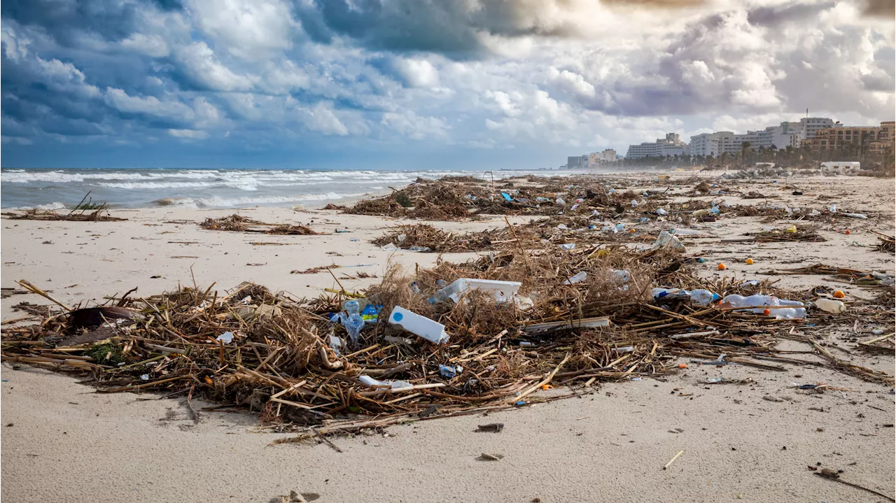 Turning The Tide on Plastic Pollution Requires a Bold Global Effort