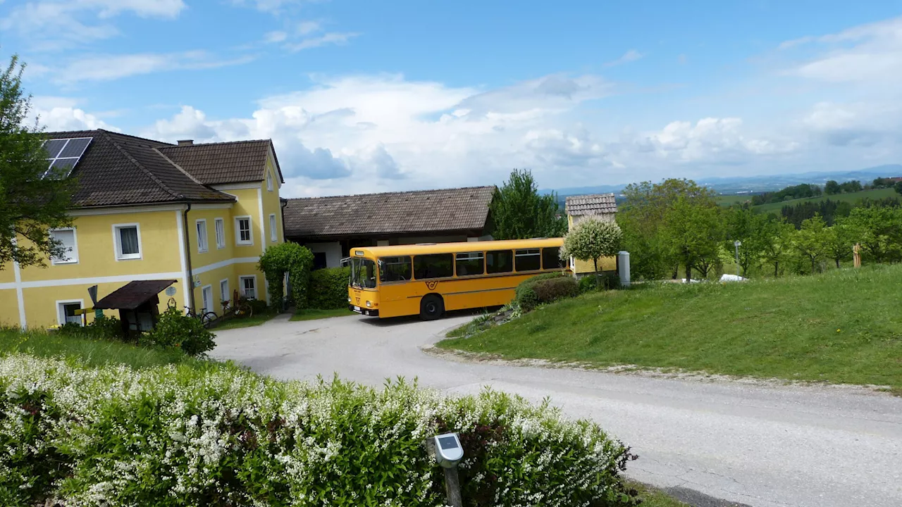 Highlight am Tag des Mostes: Mit dem Retrobus rund um Amstetten