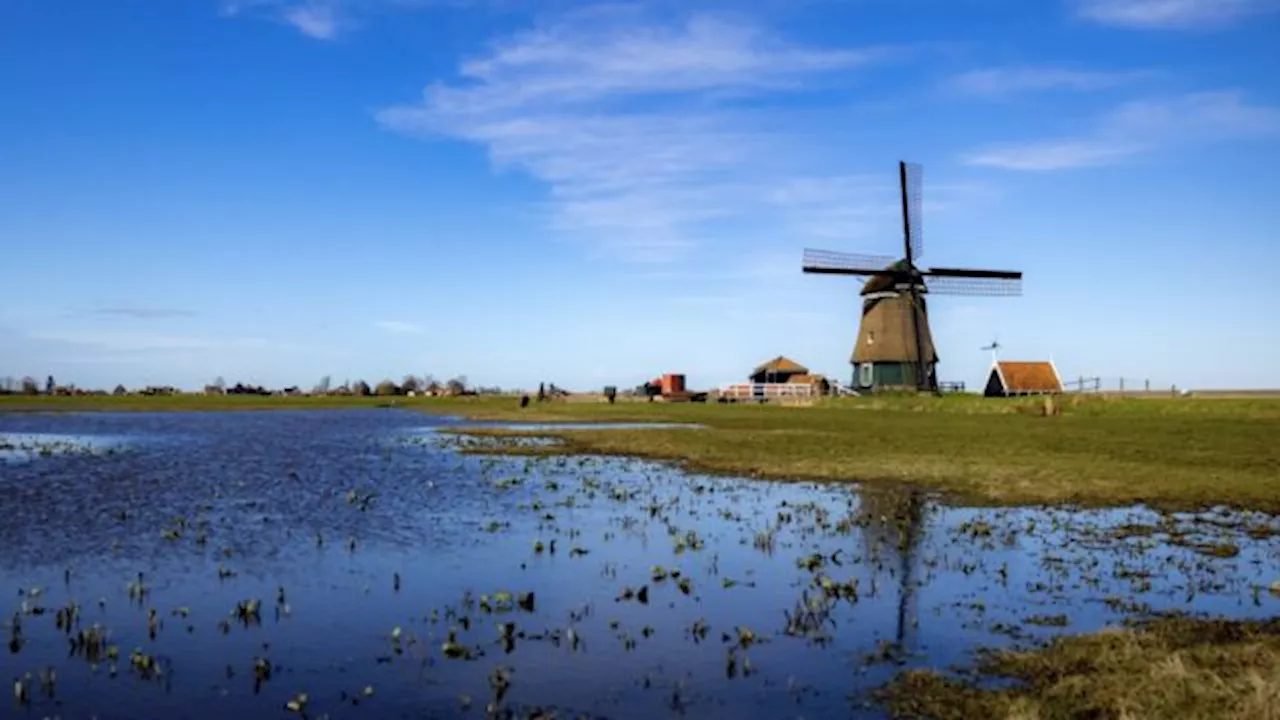 Nederland kan klimaatneutraal zijn in 2050: 'Alles moet uit de kast worden gehaald'