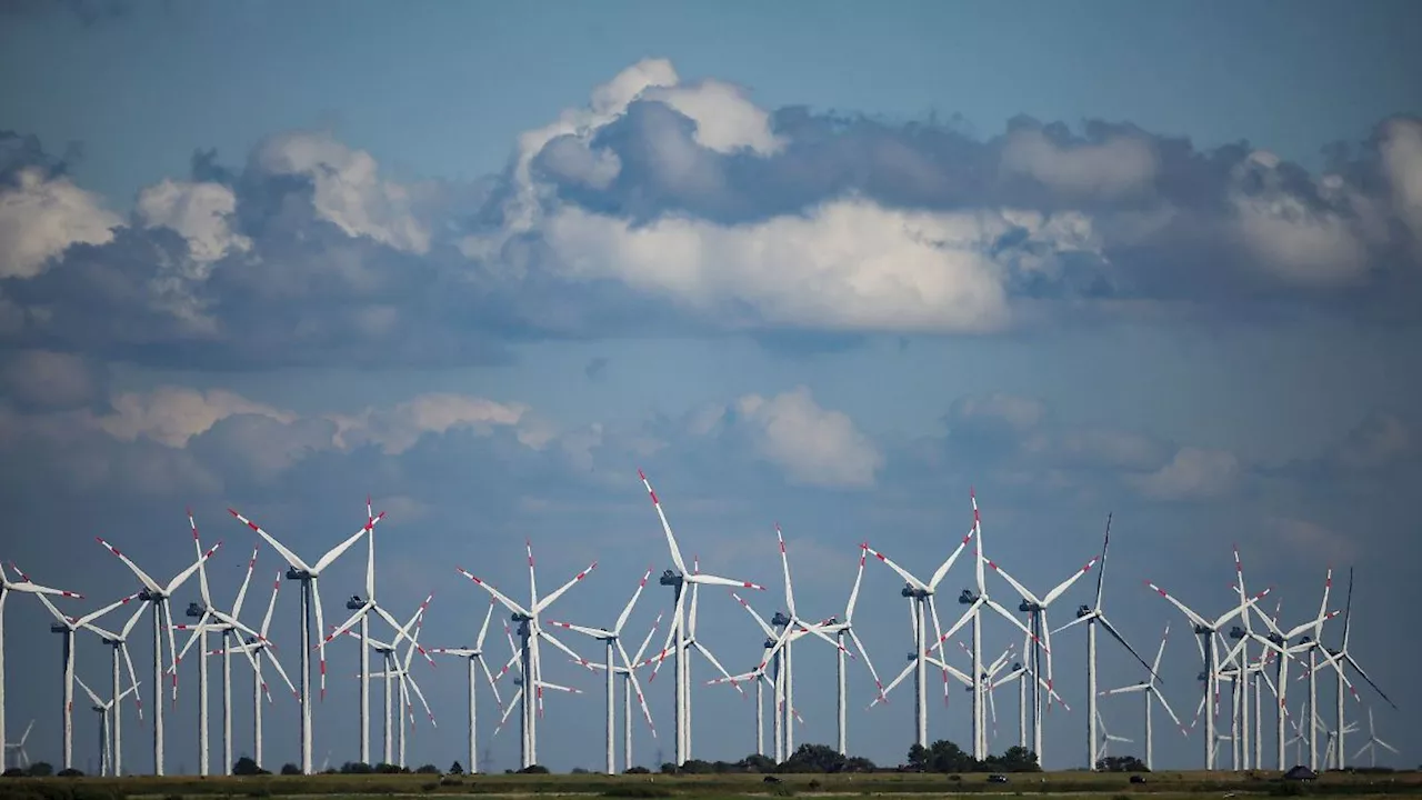 Hamburg & Schleswig-Holstein: Branche sieht Windenergieausbau aktuell auf Kurs