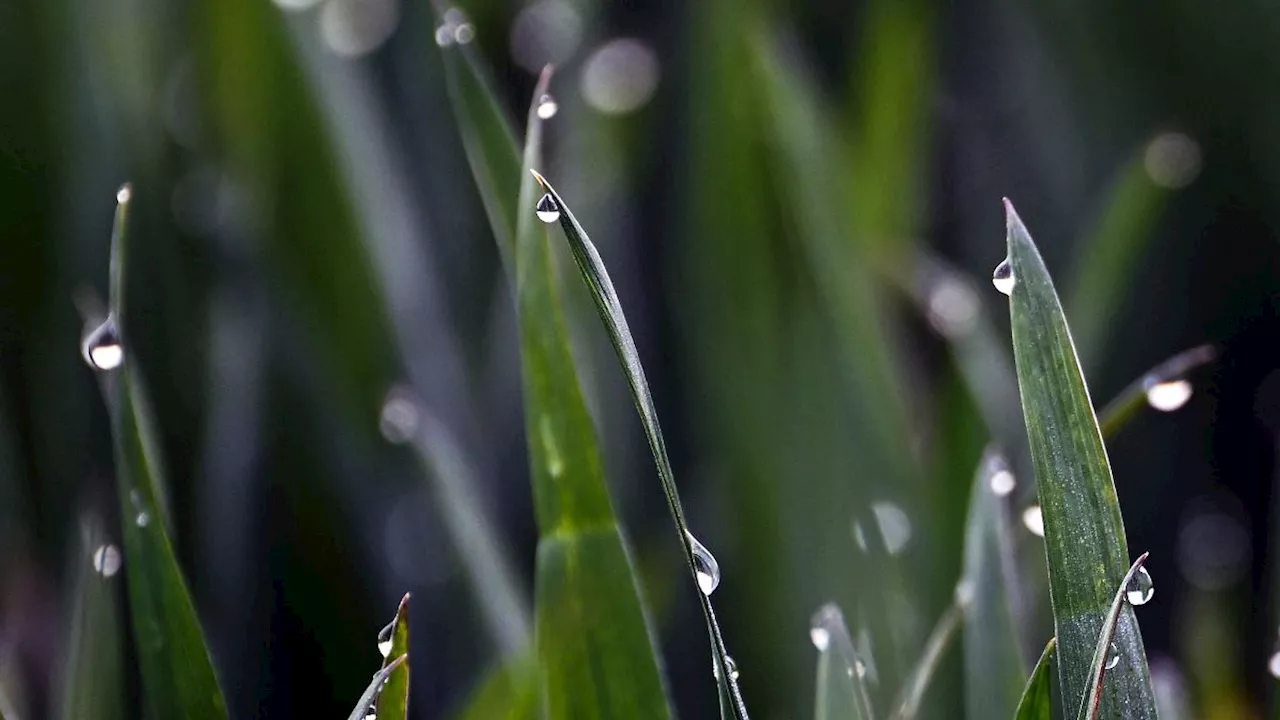 Hessen: Steigende Temperaturen zum Wochenende in Hessen erwartet