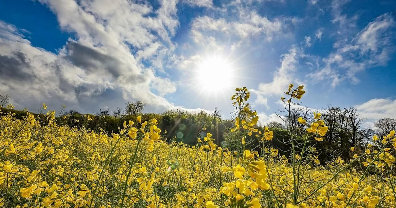 Wetterbesserung in Sicht - Temperaturen steigen