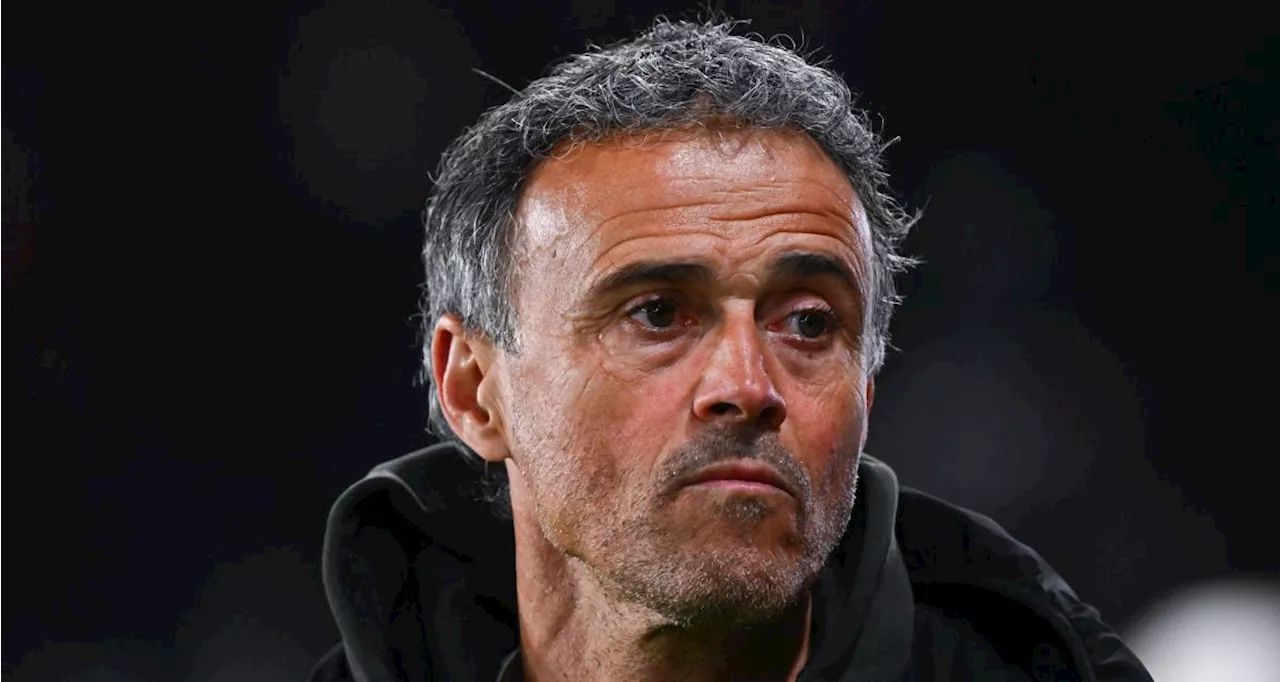 PSG : les 4 chantiers de Luis Enrique avant Dortmund