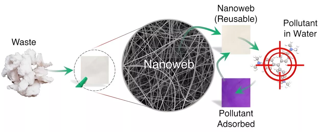 Nanofibers rid water of hazardous dyes: Researchers develop efficient filters based on cellulose waste