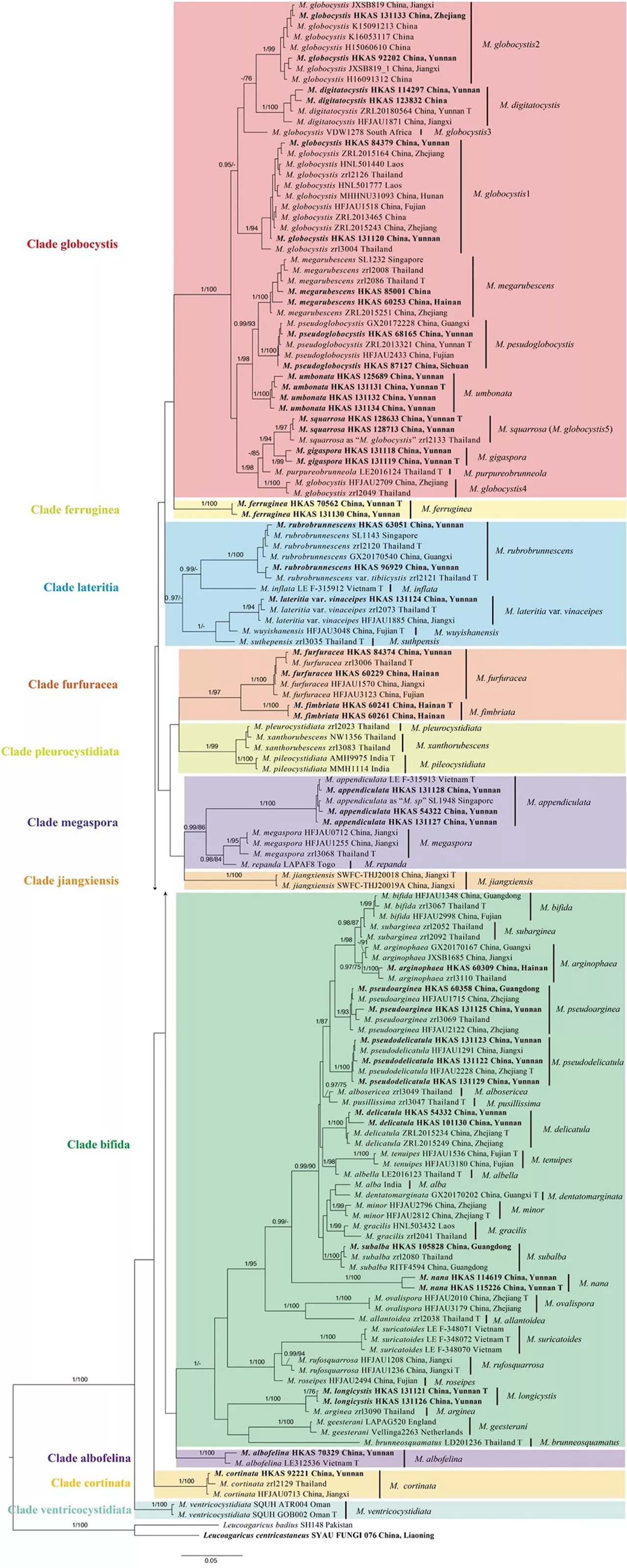 Uncovering the diversity of Micropsalliota: Seven new species and one newly recorded species in southern China