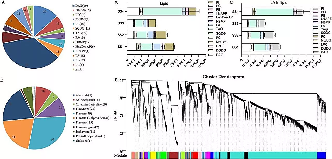 Unveiling the genetic blueprint of safflower