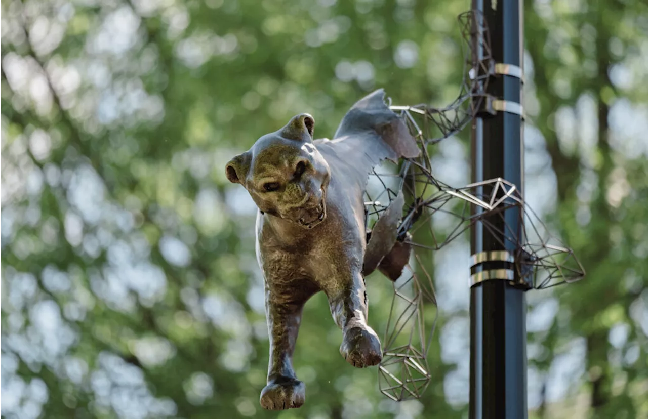 Look Up: New Endangered Animal Sculptures in Woodley and Cleveland Park