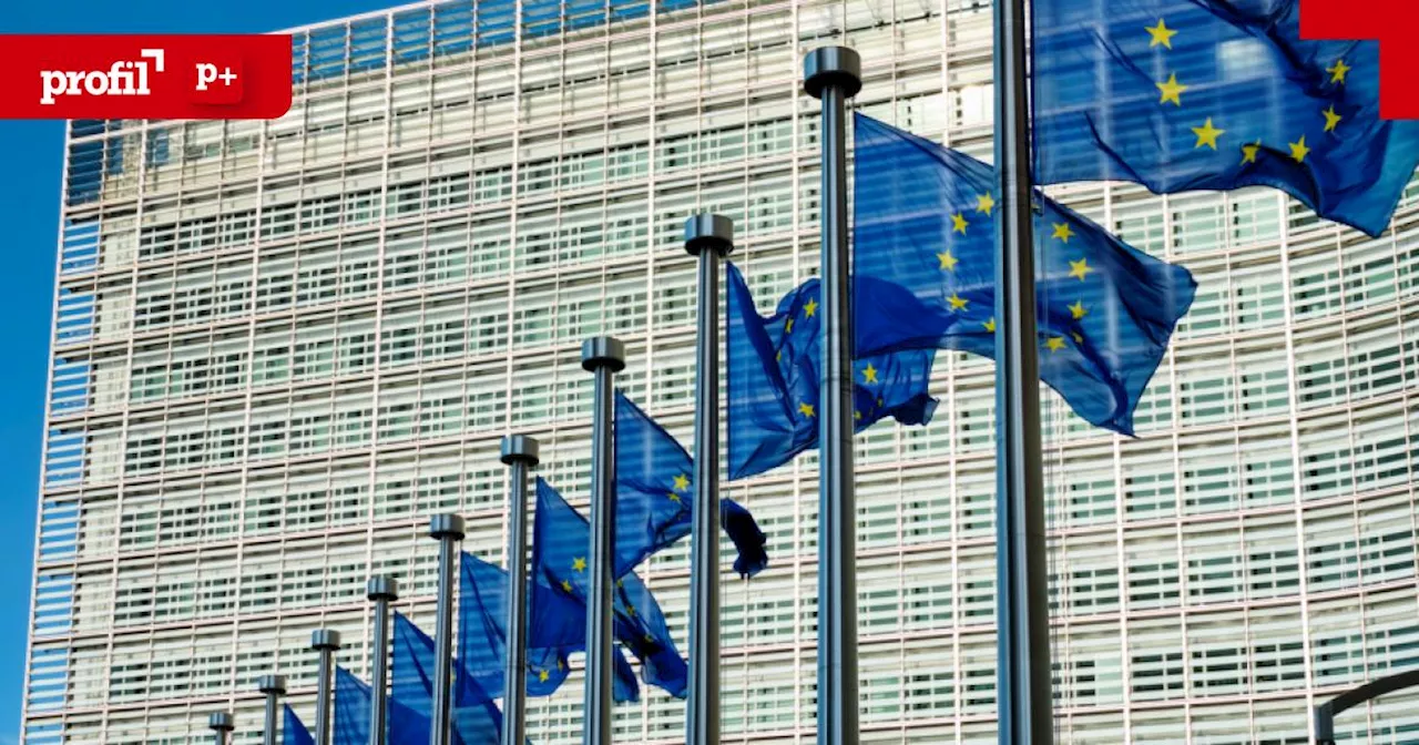 Alles außer gewöhnlich: Fünf exzentrische EU-Abgeordnete und ihre Geschichten