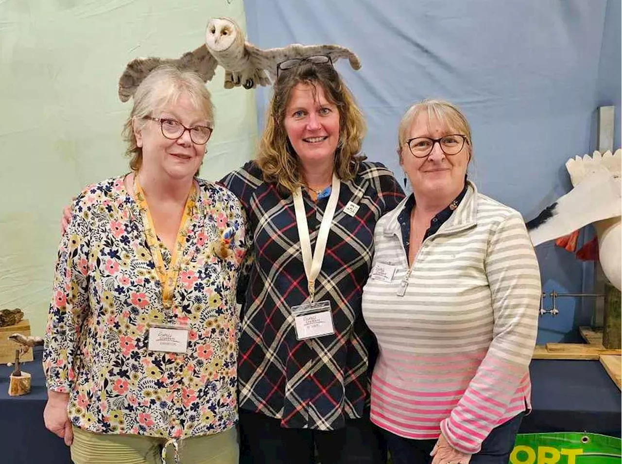 Wonderwool Wales 2024 targeting 6,000 visitors for this weekend’s show