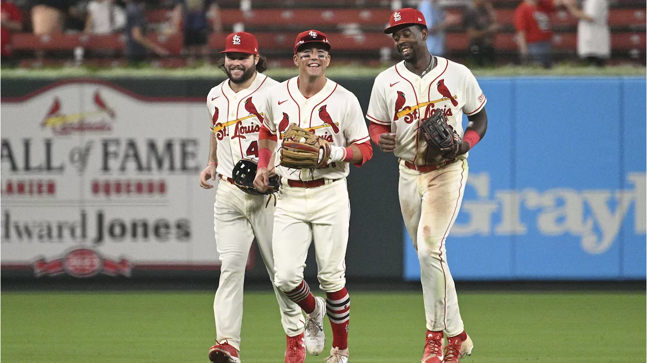 Cardinals Fan Favorite Outfielder 'Primed' For Best Season Of Career