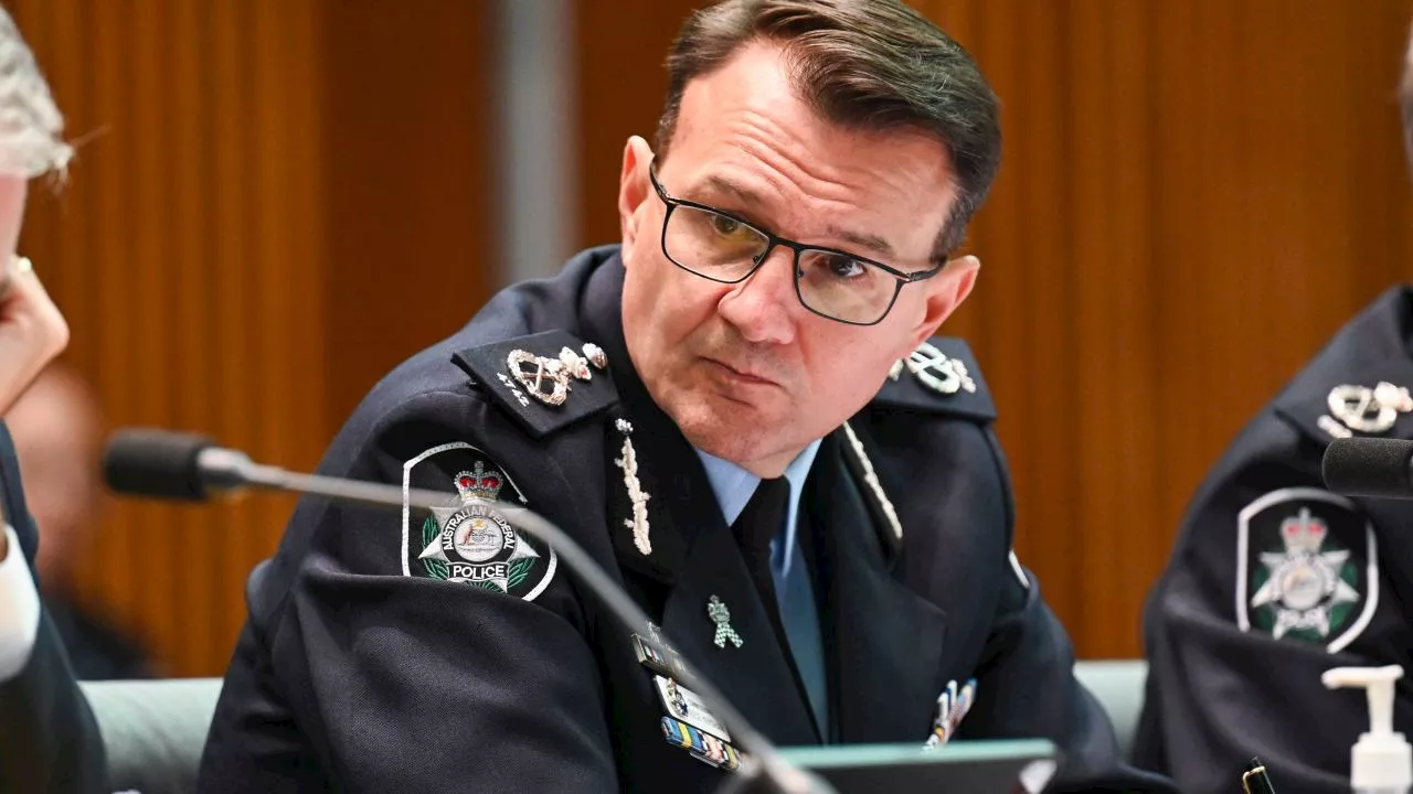 ‘Fuel to the fire’: AFP boss takes aim at Musk over alleged terror video