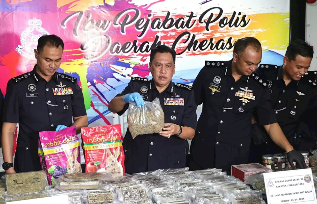 Cops bust ganja traffickers in Cheras, seize RM300,000 in drugs, arrest eight