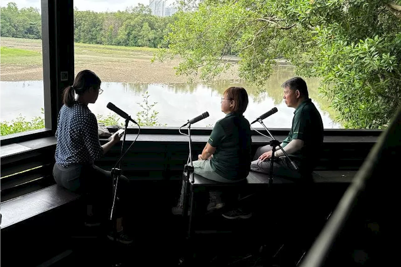 A visit to Sungei Buloh: How Singapore can better host migratory birds