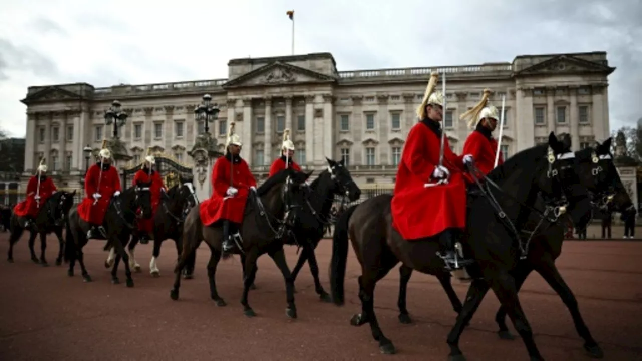 Durchgegangene Armee-Pferde verletzen vier Menschen im Zentrum von London