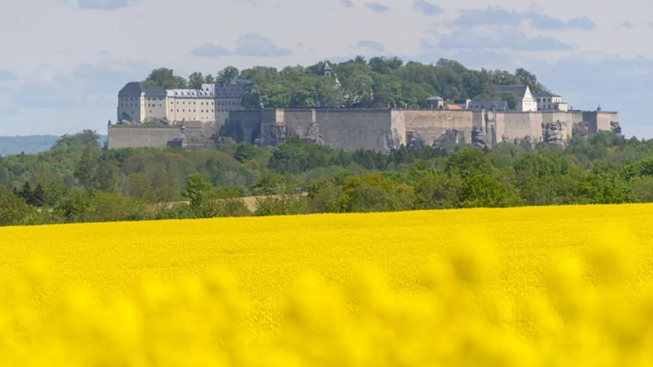 Geschichte: Sehnsucht Freiheit: Aktionswoche auf der Festung Königstein