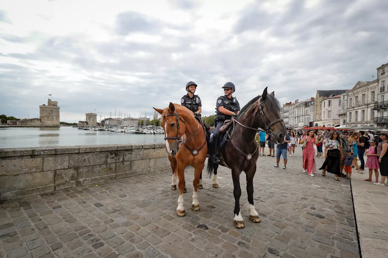 La Rochelle : les brigades de police équestres reviennent pour les Fêtes maritimes en juin