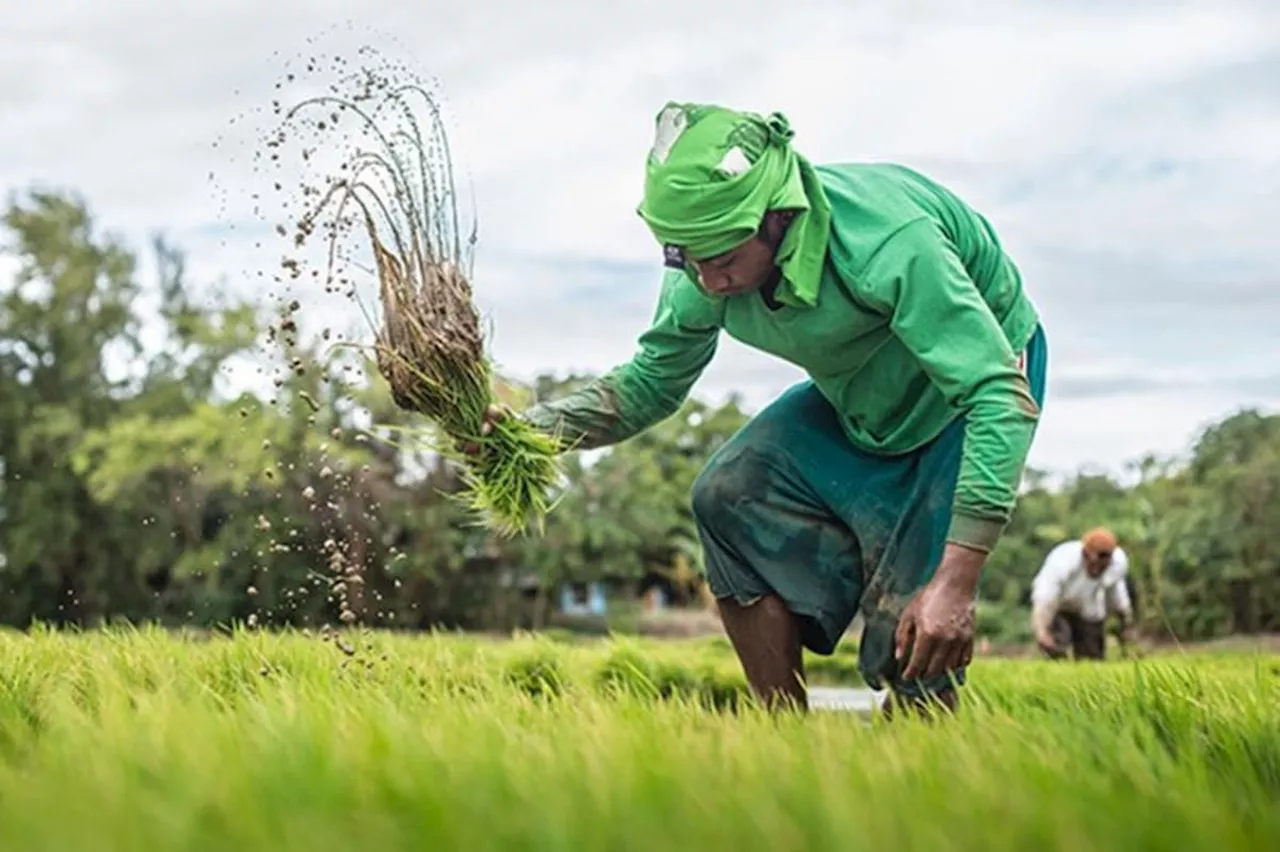 SP member urges farm coops to seek accreditation for LGU loans