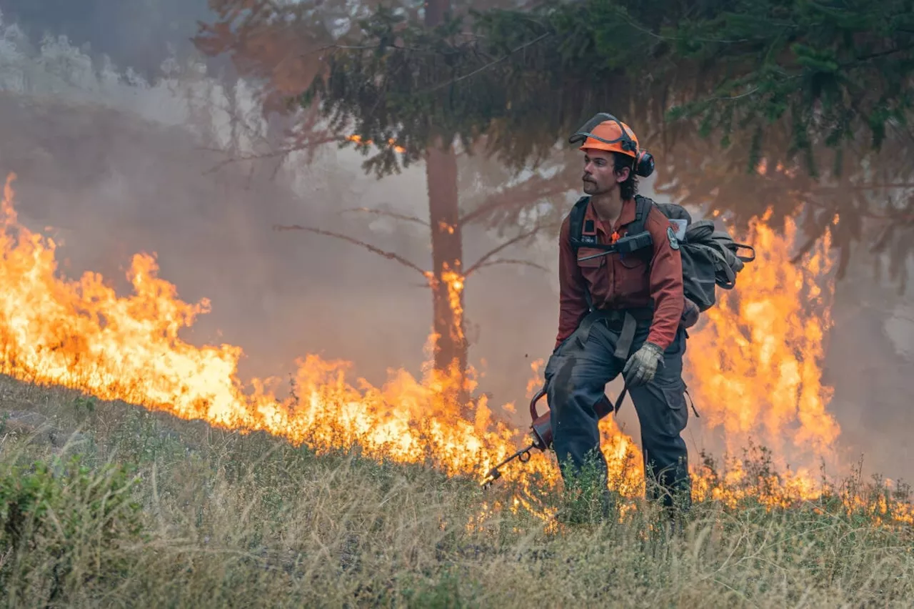 Interest in wildfire fighting triples ahead of 2024 season: BC Wildfire