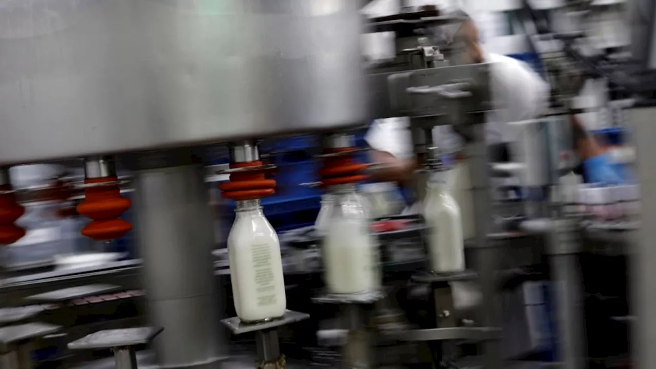 US FDA says commercial milk safe despite bird flu virus presence