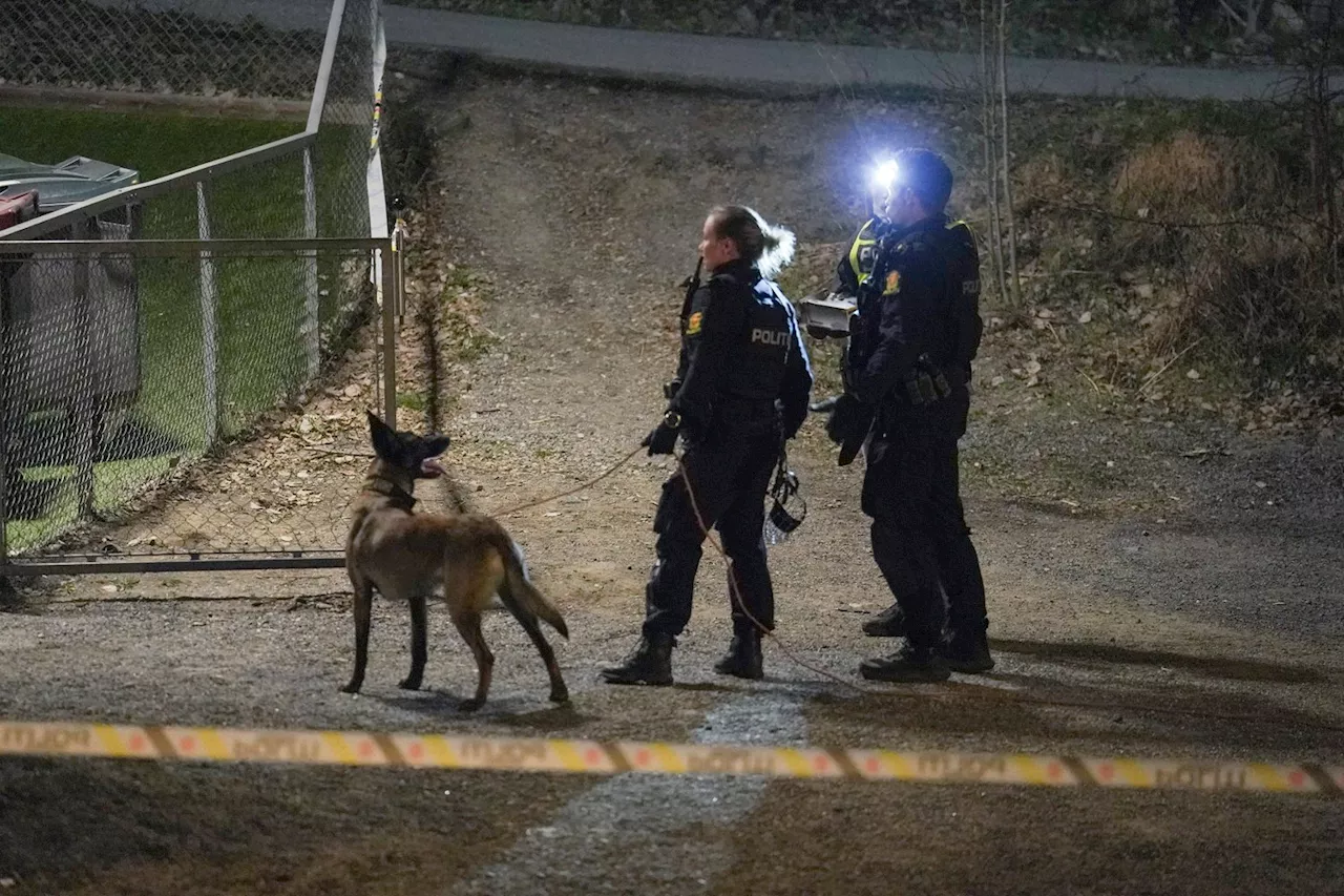 Skytingen på Holmlia: – Kan ha vært et uhell